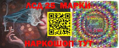 шишки Донской